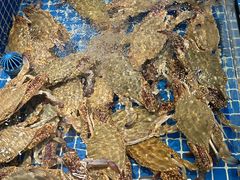 -驻海渔市(置信店)