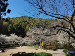 -杭州植物园