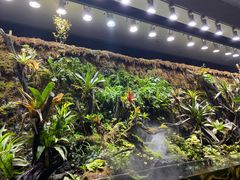 -唐山宴百姓府邸院落中餐
