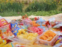 -白鹭湾湿地公园