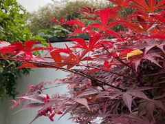 -深业半汤御泉庄温泉