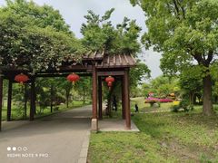 -鹅湖玫瑰文化园