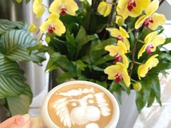 -上海长风大悦城