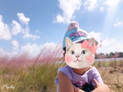 -春花秋色城市公园