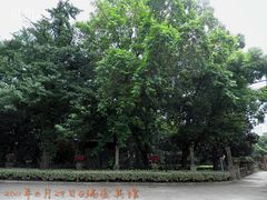 31瑞金宾馆-上海瑞金洲际酒店