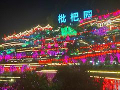 -枇杷园食为鲜火锅(南山店)