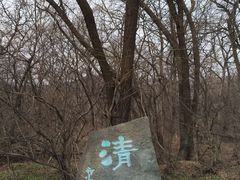 -高尔山公园