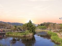 -滨海公园