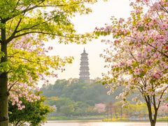 -顺峰山公园