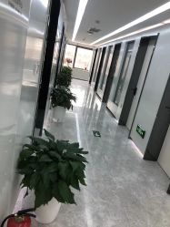 -悟空祛痘·诺奖技术专业店