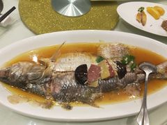 清蒸鲥鱼-圆苑(上海广场店)