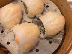 -美心皇宫(屯门大会堂店)