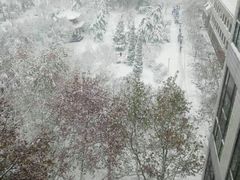 -曲阜师范大学(曲阜校区)
