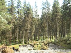 -硗碛藏寨·神木垒景区