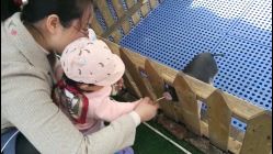 -萌宠亲子动物乐园(槐房万达店)