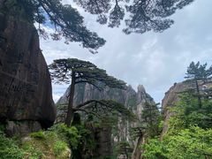 -黄山风景区