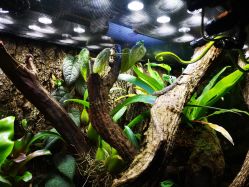 -酷嗒动物文化乐园(cutezoo西溪乐天城店)