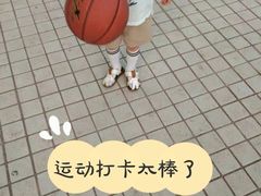 -东方启明星篮球培训(击掌校区)