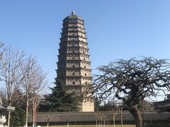-法门文化景区