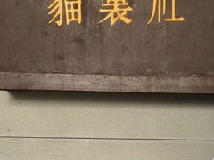 -猫里有甜