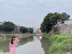 -坪山湿地公园