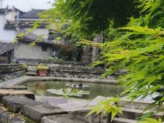 -塔川景区
