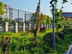 -上海市松江区九里亭外国语实验学校