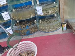 水产区-海之味海鲜大咖·家常菜