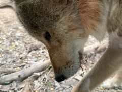-天秀花园古月园