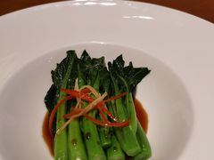 芥蓝-广州富力君悦大酒店空中花园