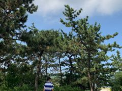 -莫内艺术岛海景咖啡