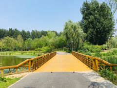 -东郊湿地公园