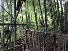 -大本营竹筒饭