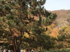 -天津盘山风景名胜区