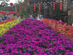 -松山湖梦幻百花洲