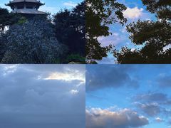 -梧桐山风景名胜区