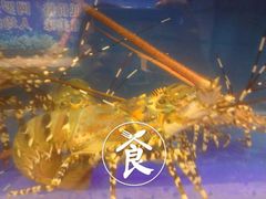 android_upload_pic-世纪缘国际会议中心·中餐厅(百家湖店)
