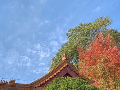 -戏马台景区