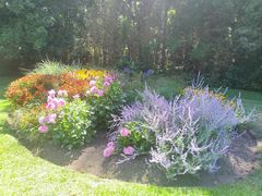 -墨尔本皇家植物园