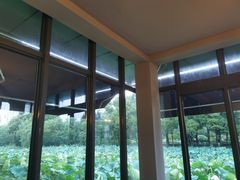 -Beans Solo豆号咖啡(百家湖花园店)