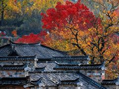 -塔川景区