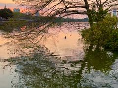 -海珠湖公园