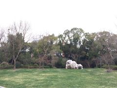 iphone_upload_pic-上海瑞金洲际酒店