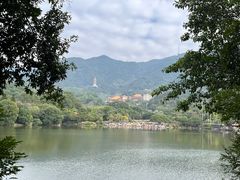 -深圳仙湖植物园