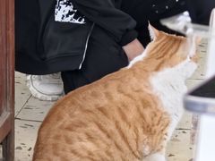 -小时光咖啡馆(北锣鼓巷店)