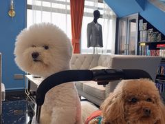 -尊卡诺高级西装礼服定制(江东中路店)