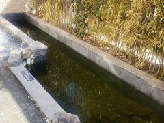 -汤宴·参须肚包鸡(南京路店)