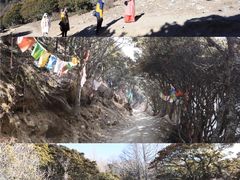 -亚拉雪山风景区