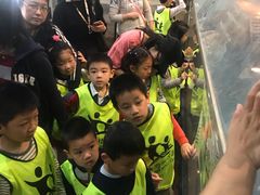 -上海大自然野生昆虫馆(东方明珠·爬宠昆虫探索中心)