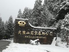 -武陵山森林公园